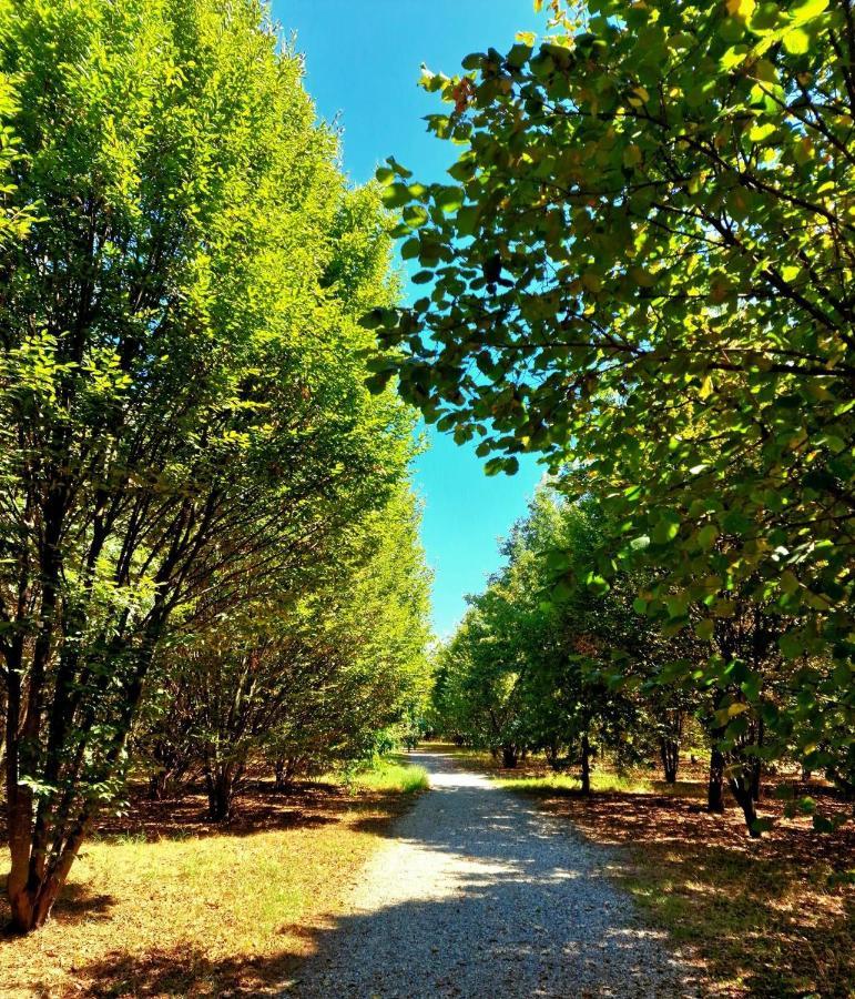 Pacy - Park City Home San Giuliano Milanese Zewnętrze zdjęcie