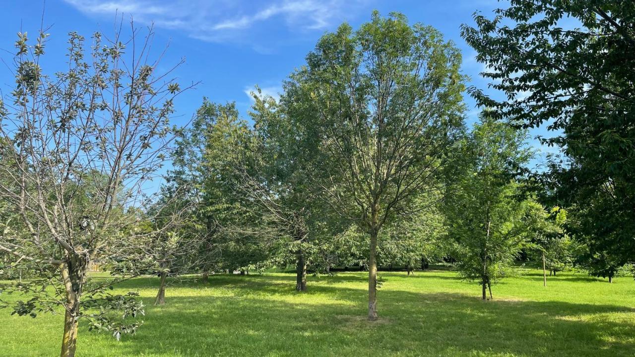 Pacy - Park City Home San Giuliano Milanese Zewnętrze zdjęcie